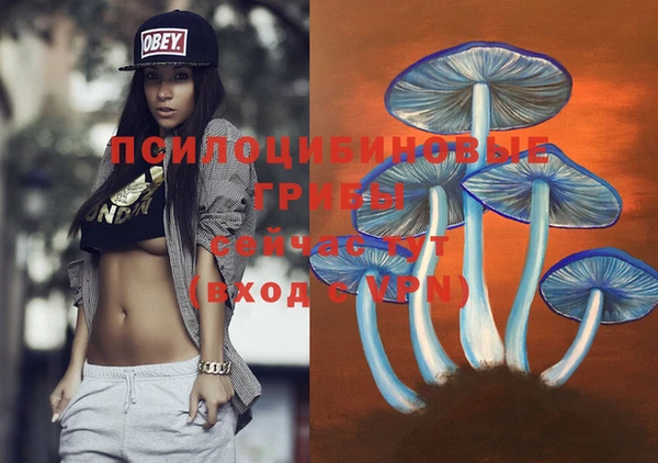 кокс Ессентукская
