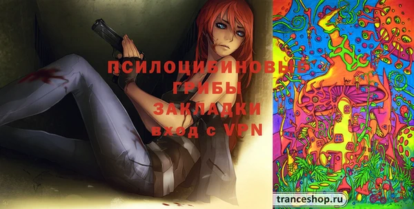 кокс Ессентукская