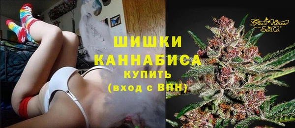 кокс Ессентукская