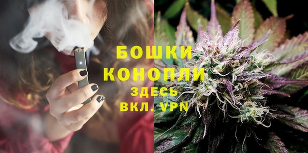 кокс Ессентукская